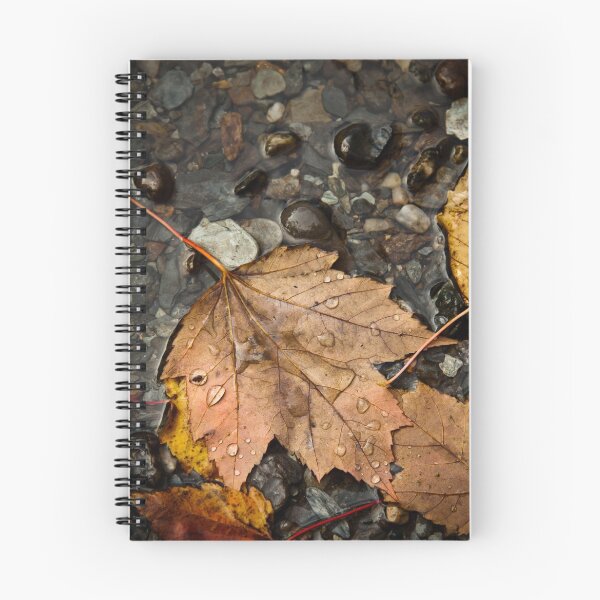 Item preview, Leaf Study - Fall designed and sold by Stephen Rowsell.