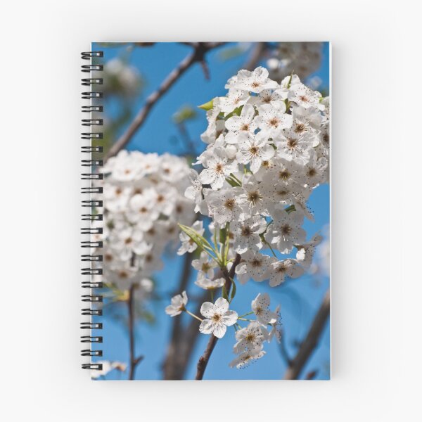 Item preview, 10:10:10:10 - Blossom designed and sold by wolfcat.