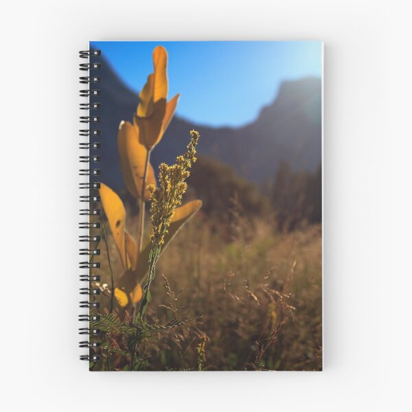 Item preview, Flowers and Half Dome designed and sold by Anne McKinnell.