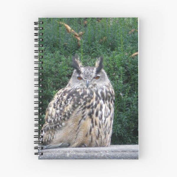 Item preview, Eagle Owl designed and sold by BabyM2.