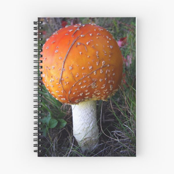 Artikelvorschau, Fly Agaric entworfen und verkauft von Rusty (Helen)  Valenza.