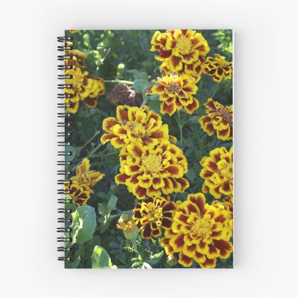 Item preview, Marigolds designed and sold by Loisb.