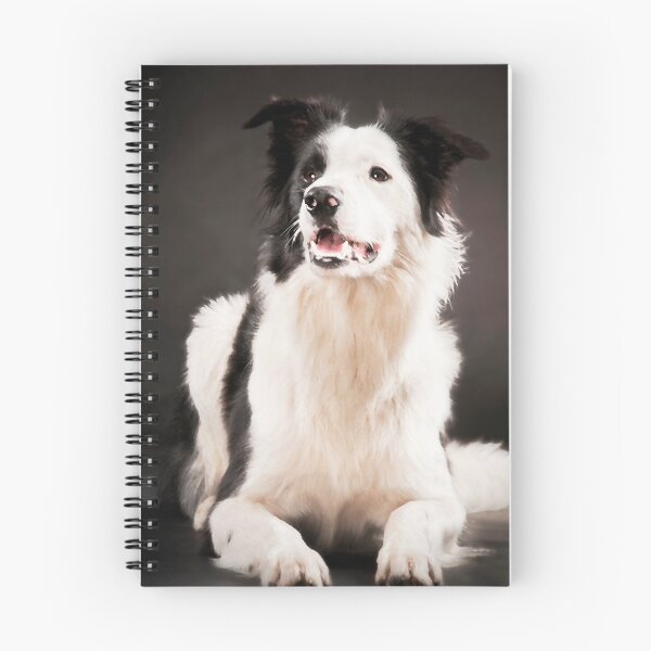 Item preview, Lenny, the border collie designed and sold by Dan Shalloe.