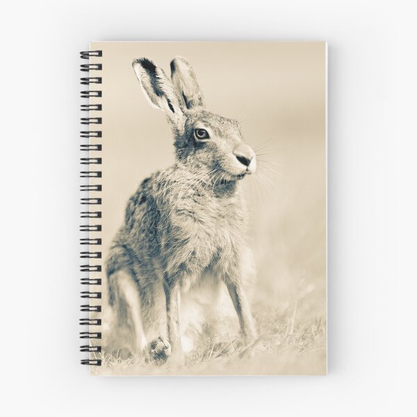 Item preview, Portrait of a Hare designed and sold by Peter Denness.