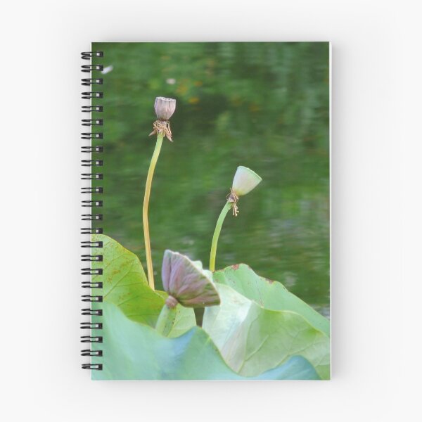 Item preview, lotus pods designed and sold by tego53.