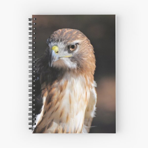 Item preview, Red-Tail Hawk designed and sold by Jeff Ore.