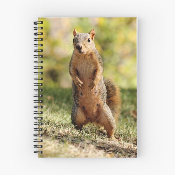 Item preview, What! No More Nuts???? designed and sold by Ann Van Breemen.