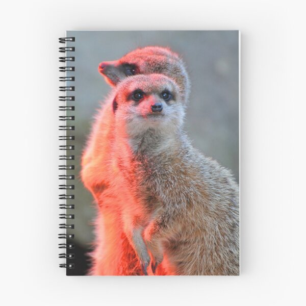 Item preview, Mischievous Meerkats designed and sold by Extraordinary Light.