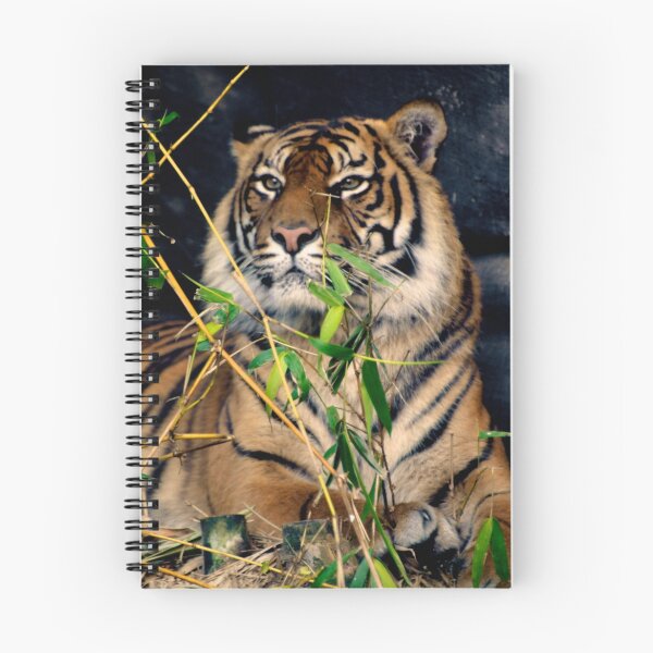 Item preview, Sumatran Tiger designed and sold by Extraordinary Light.