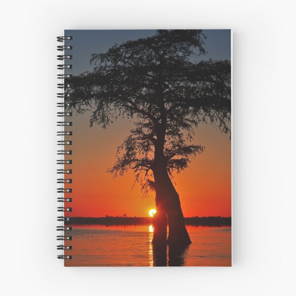 Item preview, Cypress Sunset designed and sold by Michele Conner.