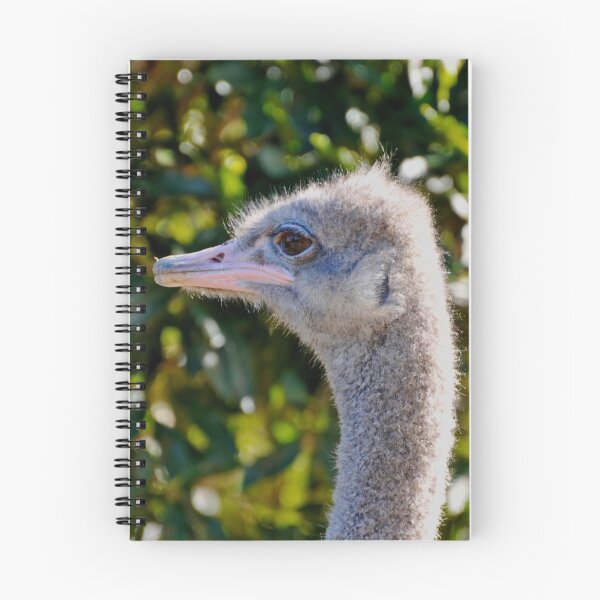 Item preview, Inquisitive Ostrich designed and sold by Extraordinary Light.