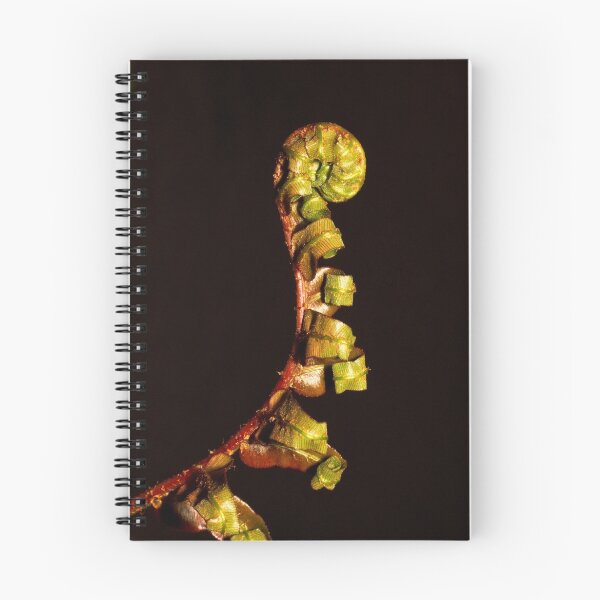 Item preview, Unfurling of a Fern Frond designed and sold by Chris Cobern.