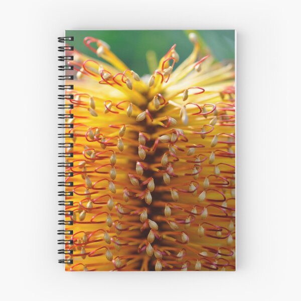 Item preview, Golden Kernels designed and sold by Extraordinary Light.