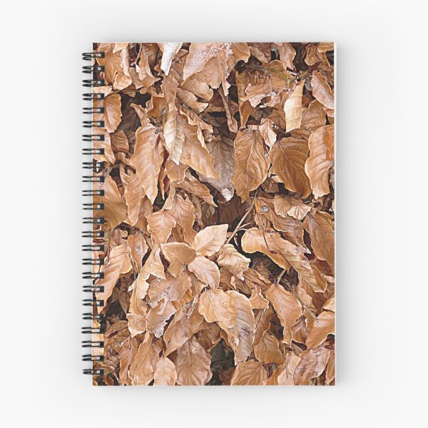 Item preview, Copper Beech tree designed and sold by Woodie.
