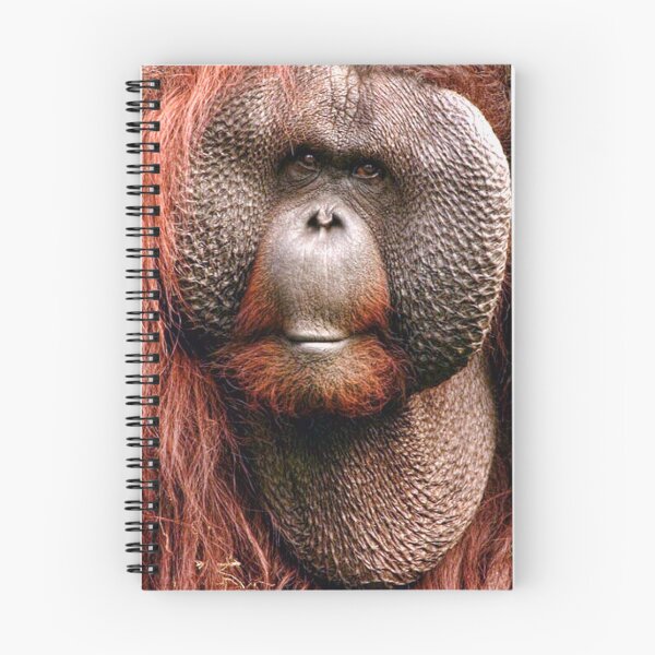 Item preview, Red Ape designed and sold by Darren Evans.