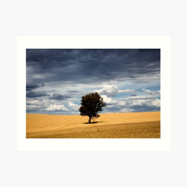 Wheatbelt Art Print