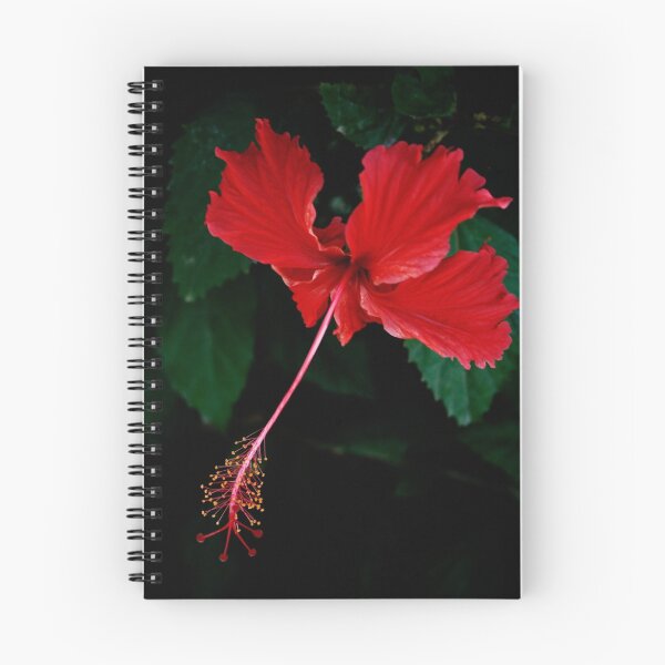 Item preview, Redness designed and sold by DianaC.