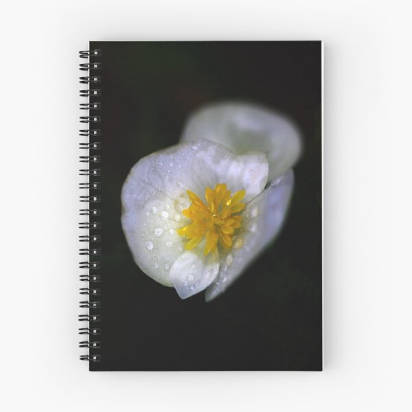 Item preview, 304 designed and sold by Gary  Banzhoff.