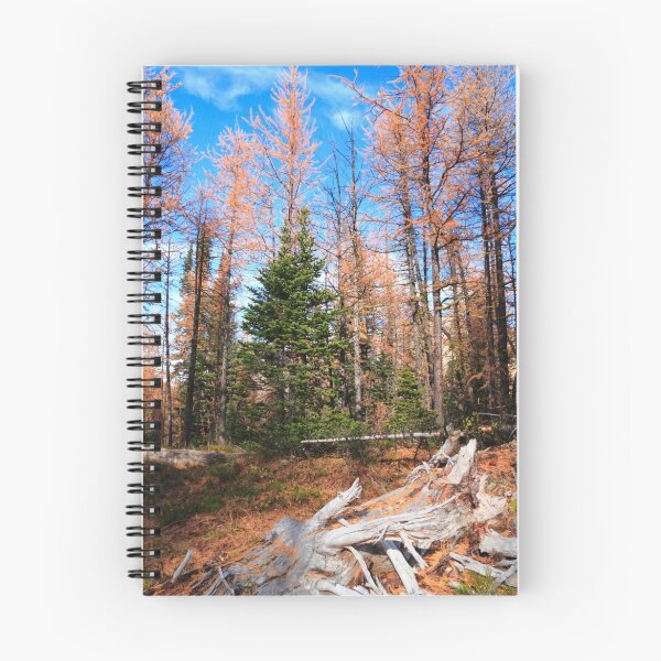 Item preview, Autumnal woods designed and sold by zumi.