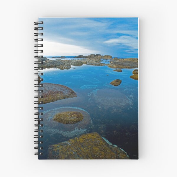 Item preview, Rock Pool, Conical Rocks, Tasmania designed and sold by andychiz.