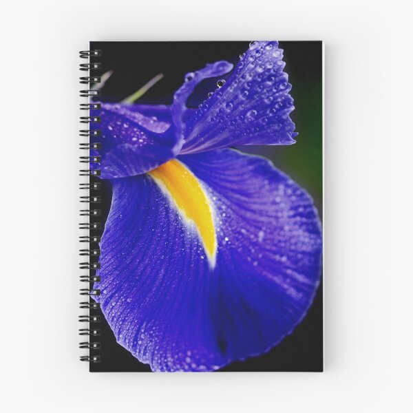 Item preview, "Natures Precision ..." designed and sold by Rosehaven.
