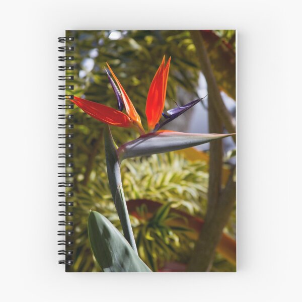 Item preview, Bird of Paradise Flower, 1 designed and sold by Galen Dalrymple.