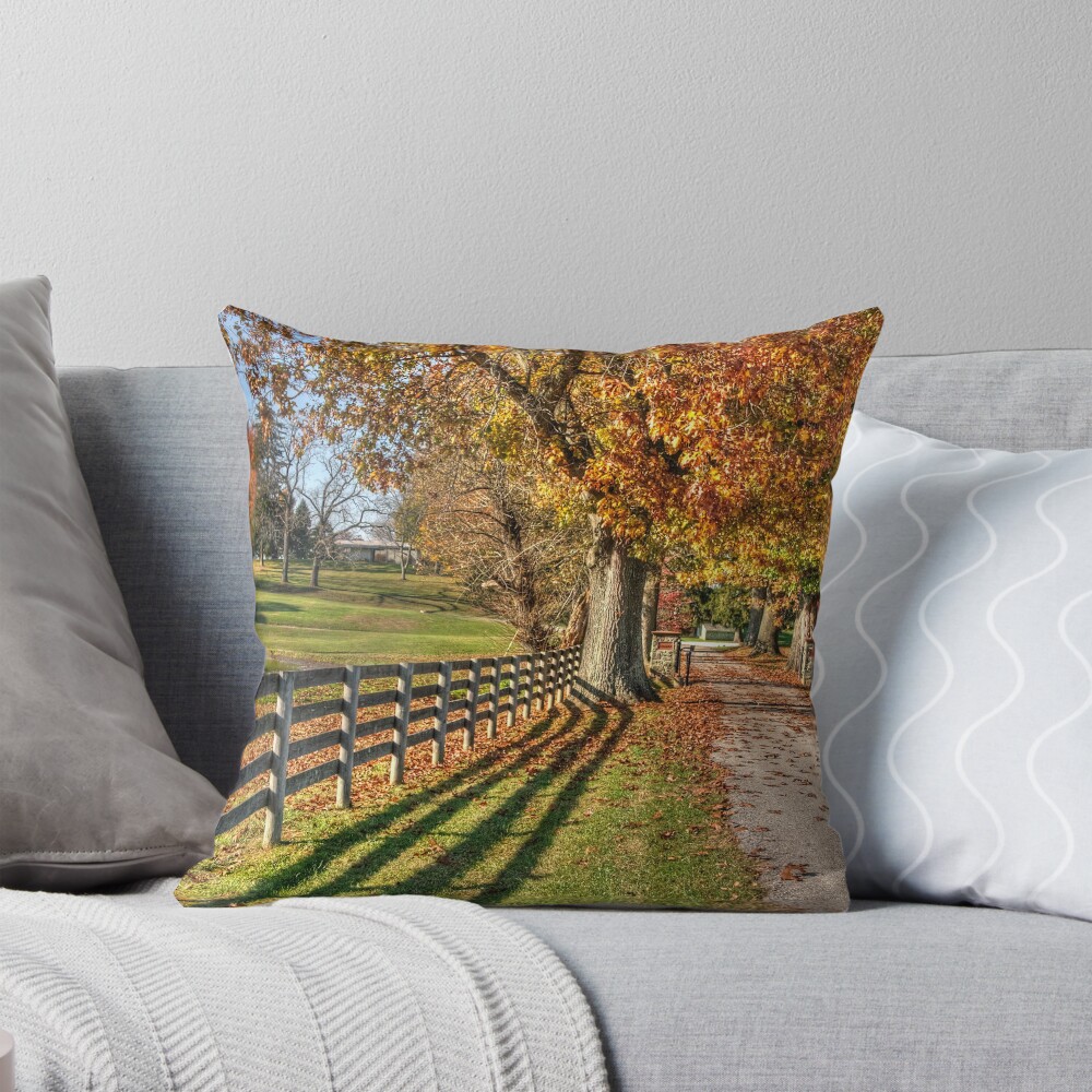 Item preview, Throw Pillow designed and sold by ROBbub.