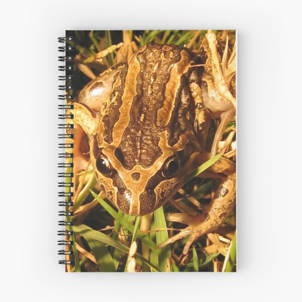 Item preview, Striped Marsh Frog designed and sold by crenowden.