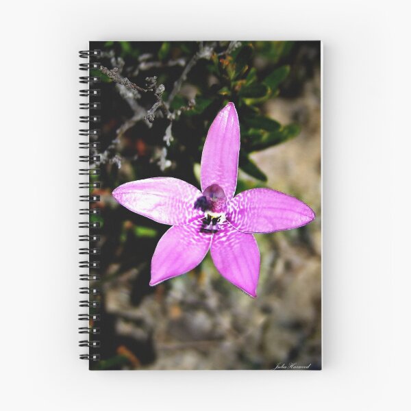Item preview, Pink Enamel Orchid, Elythanthera emarginata designed and sold by JuliaKHarwood.