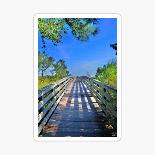 Item preview, Southern Stroll designed and sold by LisaWootenPhoto.