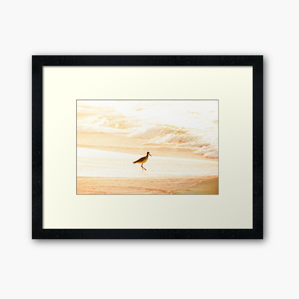 Morning Swim Framed Art Print
