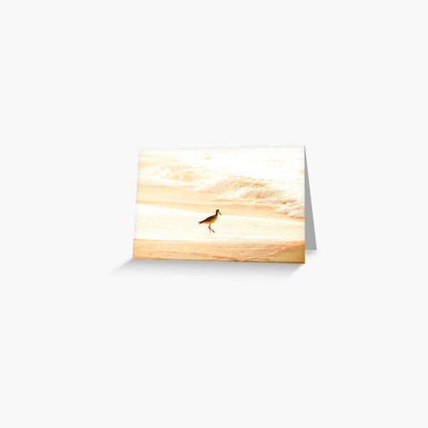 Morning Swim Greeting Card