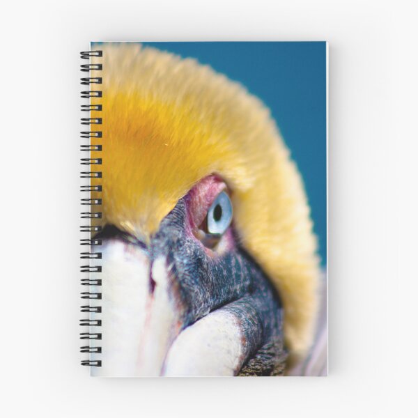 Artikelvorschau, Pelican Eyes entworfen und verkauft von Benjamin Manning.