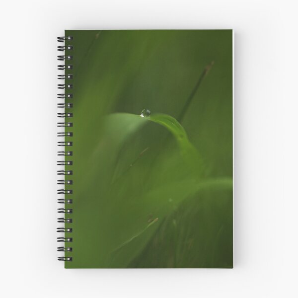 Item preview, precioso designed and sold by aambience.