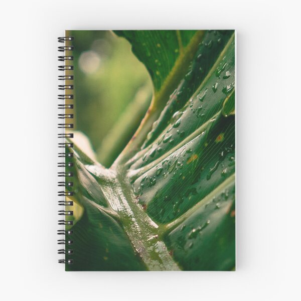 Item preview, keep palm designed and sold by Benqueez.