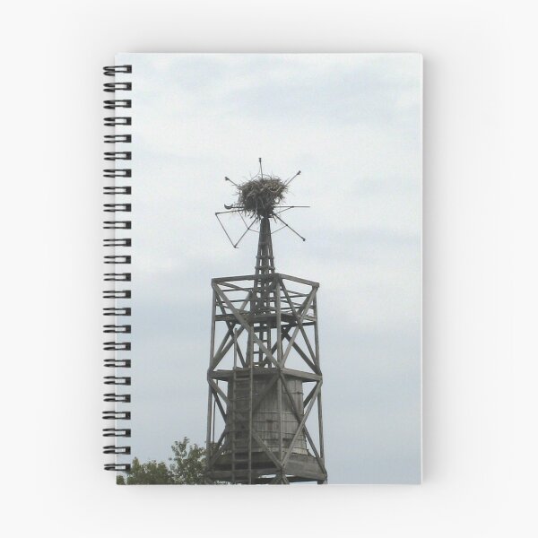 Item preview, Osprey nest in abandoned windmill designed and sold by chipster.
