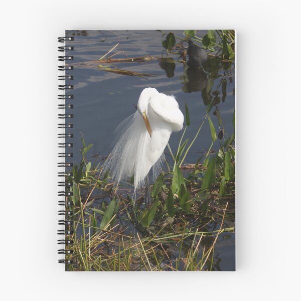 Item preview, preening egret designed and sold by rowephoto.