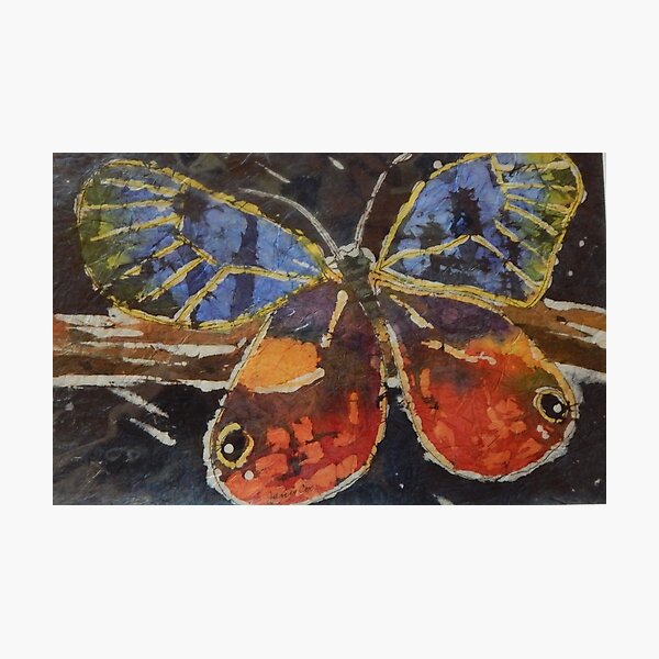 Butterfly Batik Photographic Print