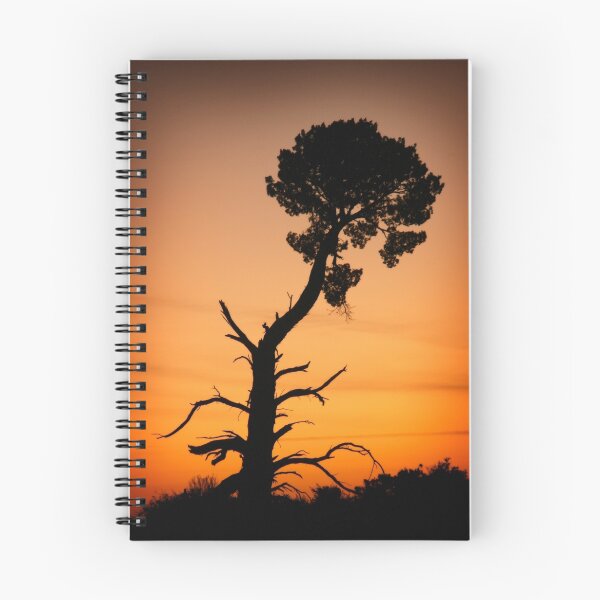 Item preview, Lone Tree at Lake Mungo - NSW designed and sold by Geoffrey  Watson.