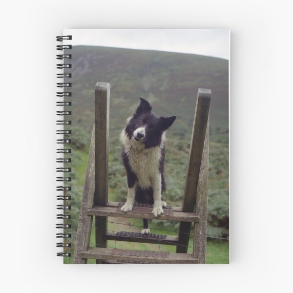 Item preview, Indy at Aber designed and sold by Michael Haslam.