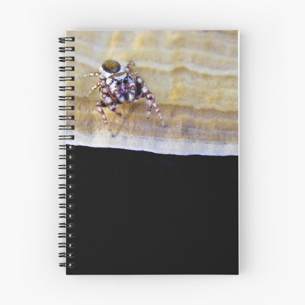 Item preview, Fiesty designed and sold by Carla Wick/Jandelle Petters.