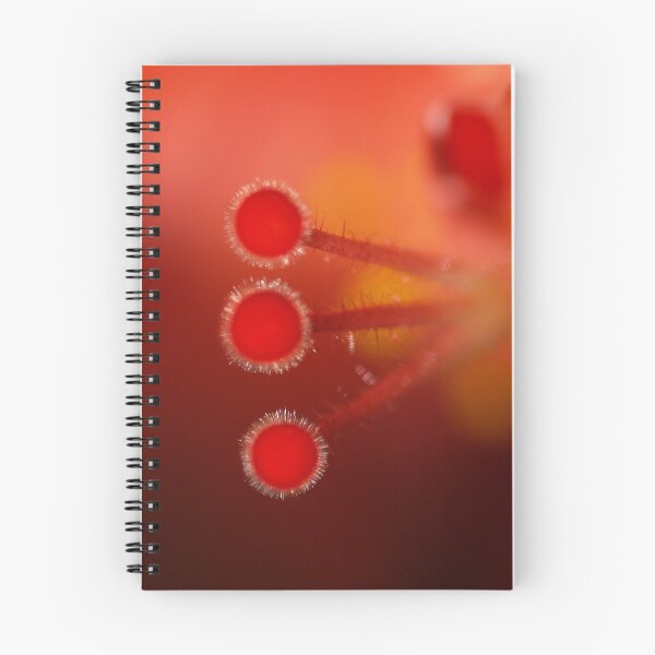 Item preview, Hibiscus designed and sold by Dawne Olson.