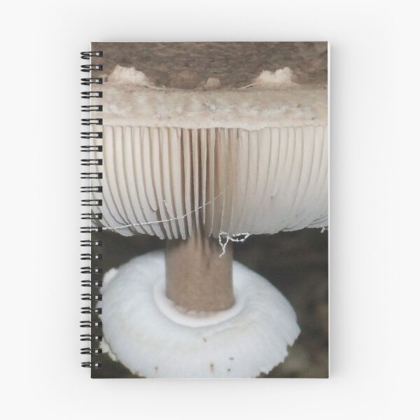 Aperçu de l'œuvre toile de shroom créée et vendue par Manienomadic.