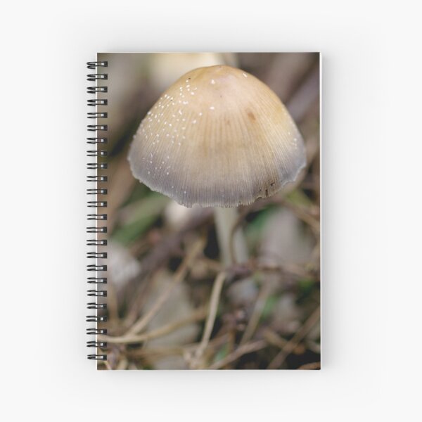Morning Cap Spiral Notebook