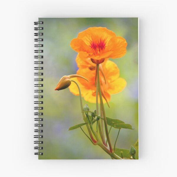 Item preview, Spring - Nasturtium designed and sold by picketty.