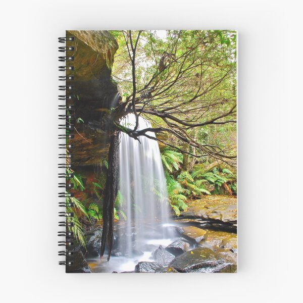 Item preview, Girrakool,Brisbane Water NP NSW Australia.2 designed and sold by Warren  Patten.