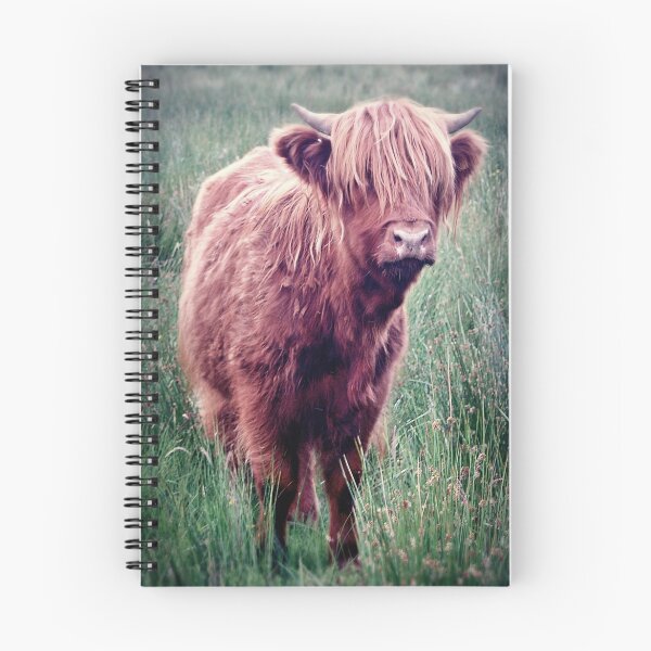 Item preview, Highland Cow, Scotland. designed and sold by Aj Finan.