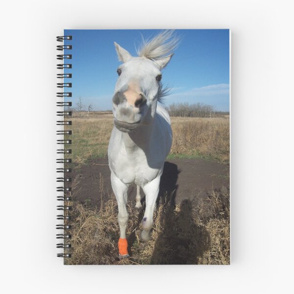 Item preview, Hello! designed and sold by Kaitlyn Blackmer.