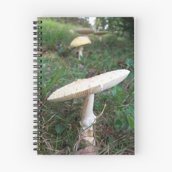 Item preview, Fungus Amongus designed and sold by Dalton Sayre.