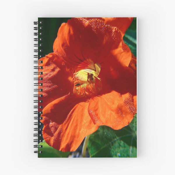 Item preview, nasturtium designed and sold by tego53.